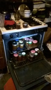 WP_20150526_22_29_37_Pro