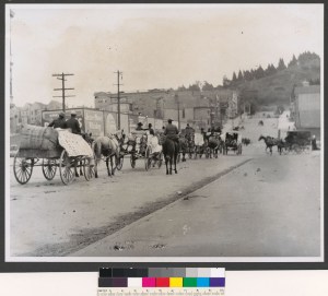 1a1822f5-c0bc-40d0-a566-eda018e1d8b9