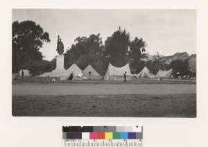 6965f49b-9745-479a-b22f-e3bb6298fbcb