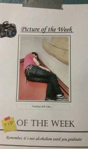 daily_picdump_1686_640_96