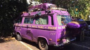 daily_picdump_1717_640_84