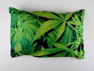 daily_picdump_1782_640_84