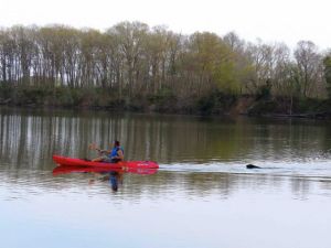 daily_picdump_1794_640_31