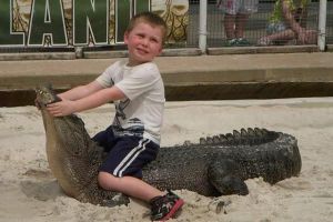 daily_picdump_1794_640_70