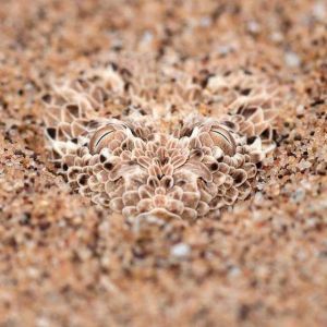 daily_picdump_1796_640_58