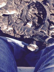 daily_picdump_1807_640_107