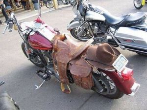 daily_picdump_1812_640_82