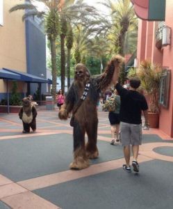 daily_picdump_1831_640_31