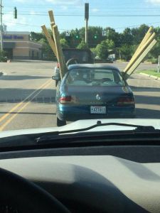 daily_picdump_1832_640_05