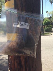 daily_picdump_1833_640_76