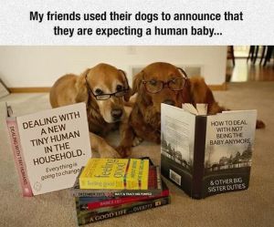 daily_picdump_1835_640_87