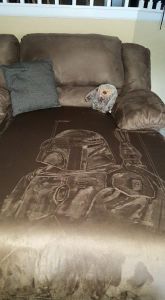 daily_picdump_1836_640_10