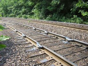 daily_picdump_1836_640_33