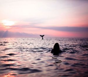 That's one LONG mermaid!