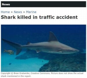 daily_picdump_1838_640_80