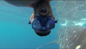 daily_picdump_1840_640_16