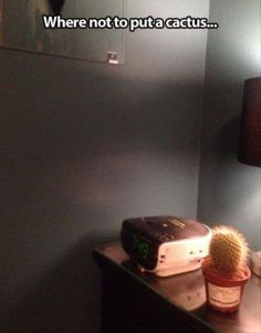 daily_picdump_1840_640_74