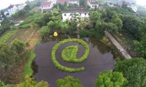 daily_picdump_1841_640_52