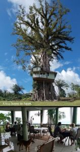 daily_picdump_1842_640_high_95