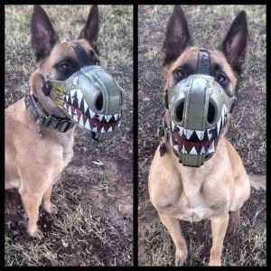 daily_picdump_1843_640_19