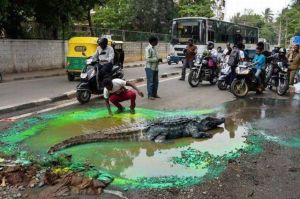 daily_picdump_1844_640_05