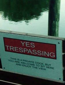 daily_picdump_1847_640_50