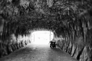 DSC_4360-Edit_zpsf0875d54