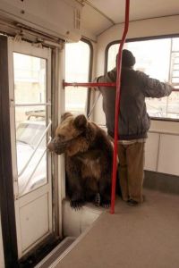 funny_picdump_832_640_03