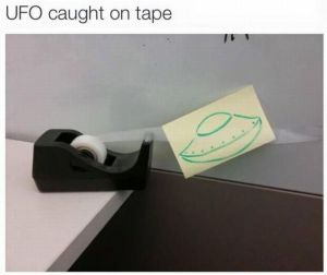 funny_picdump_985_640_36