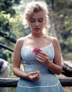Marilyn-Monroe-Pictures-31