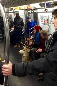 morning_picdump_668_640_30