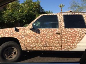 morning_picdump_686_640_35