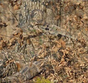 morning_picdump_705_640_39