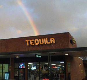 morning_picdump_706_640_34