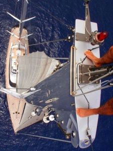 morning_picdump_735_640_47