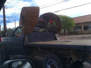 morning_picdump_744_640_09