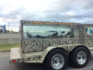 morning_picdump_746_640_14