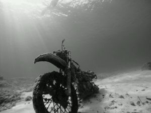 morning_picdump_746_640_25