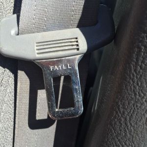 morning_picdump_761_640_52