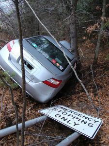 morning_picdump_765_640_12