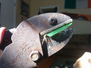 morning_picdump_767_640_46