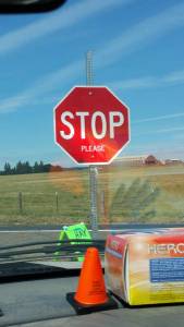 morning_picdump_772_640_39