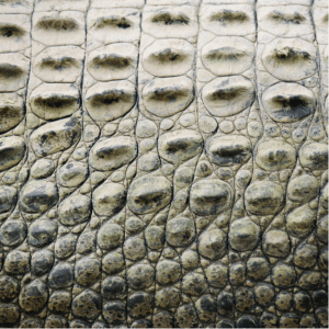 Screen Shot 2014-11-21 at 7.03.43 AM