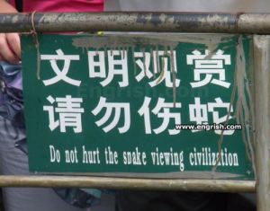 snake-viewing-civilization