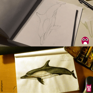 tumblr_nopupv3KR11u4tk9ko1_r1_500