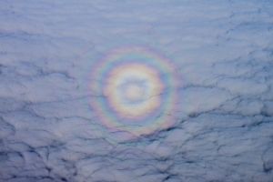 6a0105371bb32c970b01b8d123baea970c-750wi