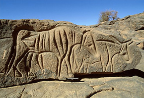 ara-2901_libya-wadi-mathendous-two-bulls_290x198