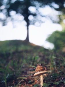 daily_picdump_1834_640_97