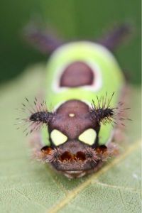 daily_picdump_1840_640_23