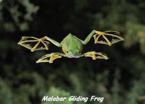 daily_picdump_1852_640_04